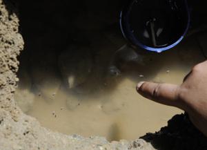 At least 79 cases of chikungunya were reported in Delhi this year even though the season of the vector-borne diseases had ended in December. Twenty-four cases of dengue were reported in the last three months, according to a municipal report released on Monday.(HT Photo) At least 79 cases of chikungunya were reported in Delhi this year even though the season of the vector-borne diseases had ended in December. Twenty-four cases of dengue were reported in the last three months, according to a municipal report released on Monday.(HT Photo)