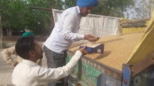 The moisture content in the crop being measured at the gate of the grain market in Mansa.(HT Photo) The moisture content in the crop being measured at the gate of the grain market in Mansa.(HT Photo)