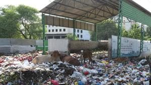 A garbage dump near Phase 11, SAS Nagar. All residential areas, offices, institutions will be covered under the project.(HT File Photo)