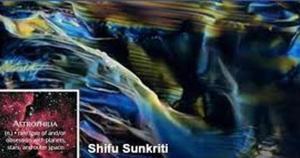 The court said it was satisfied with the probe against Shifu Sunkriti conducted so far.(HT) The court said it was satisfied with the probe against Shifu Sunkriti conducted so far.(HT)