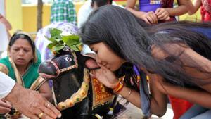 A young girl and other devotees offer prayers at the Pashupatinath temple in Bhopal on Mahashivratri.(PTI) A young girl and other devotees offer prayers at the Pashupatinath temple in Bhopal on Mahashivratri.(PTI)