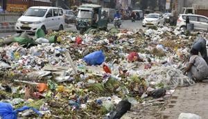 Garbage remains uncollected in east Delhi in January 2017.(Raj K Raj/HT Photo) Garbage remains uncollected in east Delhi in January 2017.(Raj K Raj/HT Photo)