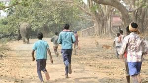 Villagers drive away an elephant which had strayed in Khalgaon area of Bhagalpur district from Godda district of neighbouring Jharkhand state.(HT FILE PHOTO) Villagers drive away an elephant which had strayed in Khalgaon area of Bhagalpur district from Godda district of neighbouring Jharkhand state.(HT FILE PHOTO)