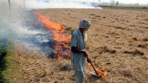 Despite administration’s ban on burning of stubble, farmers continue to openly defy the order.(HT Representative Image) Despite administration’s ban on burning of stubble, farmers continue to openly defy the order.(HT Representative Image)
