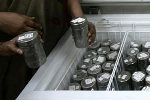 The Bhilwara milk bank had stock of 1,503 units (one unit is 30ml) from where 600 units were transported to storage unit at Zenana Hospital.(Kunal Patil File Photo) The Bhilwara milk bank had stock of 1,503 units (one unit is 30ml) from where 600 units were transported to storage unit at Zenana Hospital.(Kunal Patil File Photo)