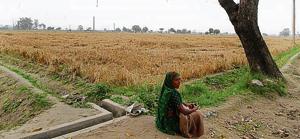The villages declared urbanised are spread across the North and South Municipal Corporations. While 50 villages are under North MCD, 39 fall under the jurisdiction of the South MCD. The villages declared urbanised are spread across the North and South Municipal Corporations. While 50 villages are under North MCD, 39 fall under the jurisdiction of the South MCD.