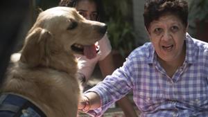 <p>Dogs are man's best friend and now they have turned therapeutic too. These furry friends are doubling up as therapists for stress, depression and other ailments. The general mental benefits of therapy through animals include decrease in feeling of isolation and alienation, improved socialization skills, reduced self-consciousness and anxiety. It also helps children overcome speech and emotional disorder and creates motivation for the patient to recover faster. Therapy dogs are tested for temperament and trained to carry out their duties. The dogs have to be above the age of two years so that they are physically and mentally mature enough and must pass the 5 steps test to be certified as one.</p>