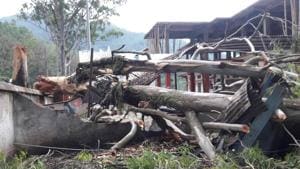 Many trees were uprooted in Mizoram as cyclone Mora hit the northeast on Tuesday.(HT Photo) Many trees were uprooted in Mizoram as cyclone Mora hit the northeast on Tuesday.(HT Photo)