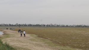 This time with no water in lake, locals have fewer options to take their relatives to.(HT File Photo)