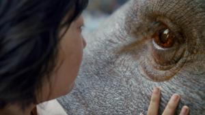 Bong Joon-Ho’s movie, Okja, created quite a flutter at Cannes this year. Bong Joon-Ho’s movie, Okja, created quite a flutter at Cannes this year.