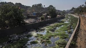 Unless the sewage is diverted to effluent treatment plants, the river will remain a sewer.(HT FILE) Unless the sewage is diverted to effluent treatment plants, the river will remain a sewer.(HT FILE)