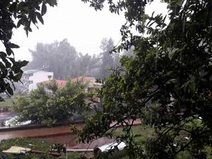 Two days after the arrival of monsoon in konkan, it has now showered over the parts of Mahabaleshwar and Kolhapur.(HT PHOTO) Two days after the arrival of monsoon in konkan, it has now showered over the parts of Mahabaleshwar and Kolhapur.(HT PHOTO)
