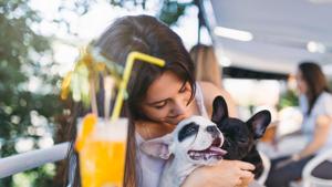 Pet cafes are a good way to bond with animals and de-stress.(Shutterstock) Pet cafes are a good way to bond with animals and de-stress.(Shutterstock)