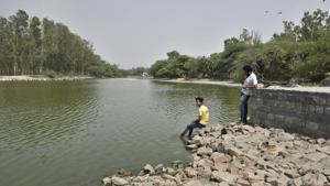 Sanjay Jheel in Mayur Vihar has been partially revived by the authorities. It has now become a favourite hangout for the local residents. It also attracts several birds and aquatic animals.(Sushil Kumar/HT Photo) Sanjay Jheel in Mayur Vihar has been partially revived by the authorities. It has now become a favourite hangout for the local residents. It also attracts several birds and aquatic animals.(Sushil Kumar/HT Photo)