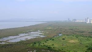 The Mira Bhayander Municipal Corporation said the mangroves were their work of clearing sludge and debris.(HT FILE) The Mira Bhayander Municipal Corporation said the mangroves were their work of clearing sludge and debris.(HT FILE)