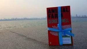 Book fairy Kadambari Mehta hid a copy of George Orwell’s Animal Farm at Nariman Point on May 5.(Kadambari Mehta/Instagram) Book fairy Kadambari Mehta hid a copy of George Orwell’s Animal Farm at Nariman Point on May 5.(Kadambari Mehta/Instagram)