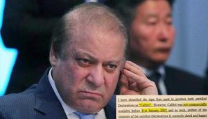 The joint investigation team (JIT) probing Sharif’s alleged involvment in Panama Papers graft case has accused Maryam Sharif of providing ‘fake/falsified documents’.(AFP Photo) The joint investigation team (JIT) probing Sharif’s alleged involvment in Panama Papers graft case has accused Maryam Sharif of providing ‘fake/falsified documents’.(AFP Photo)