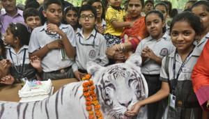 School children celebrate the birthday of tiger ’Vijay’ along with zoo officials on Thursday.(Sushil Kumar/HT PHOTO) School children celebrate the birthday of tiger ’Vijay’ along with zoo officials on Thursday.(Sushil Kumar/HT PHOTO)