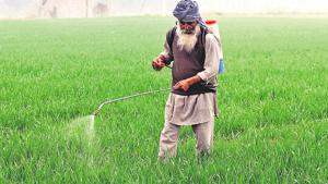 The department has so far collected 1,250 samples of which 78 had failed quality tests.(HT File) The department has so far collected 1,250 samples of which 78 had failed quality tests.(HT File)
