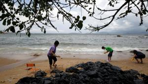 Volunteers collect crystallised palm oil on a beach at Lamma Island in Hong Kong.(Reuters Photo) Volunteers collect crystallised palm oil on a beach at Lamma Island in Hong Kong.(Reuters Photo)