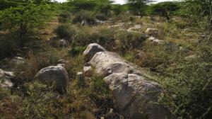 The students were returning from Bhardwaj Lake in Asola when they were stopped by a group of people who threw communal slurs at them and threatened the woman with rape.(HT FILE) The students were returning from Bhardwaj Lake in Asola when they were stopped by a group of people who threw communal slurs at them and threatened the woman with rape.(HT FILE)