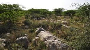 The four were identified as Satu alias Sachin, Rehra alias Pramod, Kalu alias Deepak and Mohra alias Harish. They are all from Anangpur village, which is near the spot the students visited.(Hindustan Times) The four were identified as Satu alias Sachin, Rehra alias Pramod, Kalu alias Deepak and Mohra alias Harish. They are all from Anangpur village, which is near the spot the students visited.(Hindustan Times)
