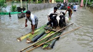 Villagers ferrying their cattle to safety on a raft made with banana plant stems from a flood-hit village in Nagaon district of Assam on Sunday.(PTI) Villagers ferrying their cattle to safety on a raft made with banana plant stems from a flood-hit village in Nagaon district of Assam on Sunday.(PTI)