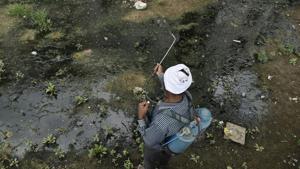 A field worker sprays anti-larval insecticide in Okhla. The area reported 19 deaths due to dengue in 2016.(Burhaan Kinu/HT Photo) A field worker sprays anti-larval insecticide in Okhla. The area reported 19 deaths due to dengue in 2016.(Burhaan Kinu/HT Photo)