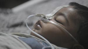 213 died in the neo-natal ICU and 83 in the encephalitis ward. 213 died in the neo-natal ICU and 83 in the encephalitis ward.