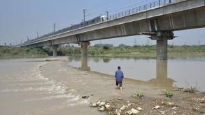 The temporary bridge made by the villagers for cows and buffaloes in the middle of the river Yamuna.(Sushil Kumar/HT Photo) The temporary bridge made by the villagers for cows and buffaloes in the middle of the river Yamuna.(Sushil Kumar/HT Photo)