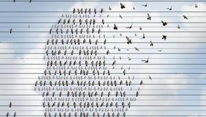 Mrs C Remembers succeeds in doing what good stories are meant to do: Help us understand lives other than our own.(Shutterstock) Mrs C Remembers succeeds in doing what good stories are meant to do: Help us understand lives other than our own.(Shutterstock)