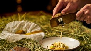 Spatzle, soft egg noodles with truffles.(Sanguine) Spatzle, soft egg noodles with truffles.(Sanguine)