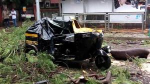 The rickshaw was crushed after the tree fell on it at the Seven Loves chowk, injuring the driver seriously.(HT PHOTO) The rickshaw was crushed after the tree fell on it at the Seven Loves chowk, injuring the driver seriously.(HT PHOTO)