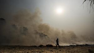 As many as 35 million tonnes are burnt in Punjab and Haryana alone to make room for the winter crop.(Ravi Choudhary/HT Photo) As many as 35 million tonnes are burnt in Punjab and Haryana alone to make room for the winter crop.(Ravi Choudhary/HT Photo)