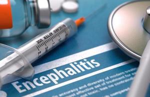(HT representative image) (HT representative image)