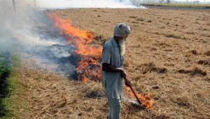 A section of farmers in the district have said they will continue to burn the residual waste of the crop.(HT File) A section of farmers in the district have said they will continue to burn the residual waste of the crop.(HT File)