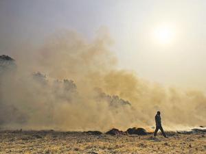 Crop burning in neighbouring states of Punjab, Haryana is one of the main reasons for poor air quality during winter months in Delhi.(Ravi Choudhary/Hindustan Times)) Crop burning in neighbouring states of Punjab, Haryana is one of the main reasons for poor air quality during winter months in Delhi.(Ravi Choudhary/Hindustan Times))