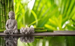 In the tale, the monk Aravana Adigal, stands tall as the representative of the Buddha.(iStock) In the tale, the monk Aravana Adigal, stands tall as the representative of the Buddha.(iStock)