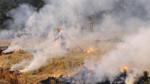 Despite the ban, a farmer burns paddy straw in a field near the National Highway-64, at Kauli village, in Patiala, Punjab. A study by IIT Kanpur has listed stubble burning as the third biggest contributor of pollution to Delhi air.(Bharat Bhushan/HT Photo) Despite the ban, a farmer burns paddy straw in a field near the National Highway-64, at Kauli village, in Patiala, Punjab. A study by IIT Kanpur has listed stubble burning as the third biggest contributor of pollution to Delhi air.(Bharat Bhushan/HT Photo)