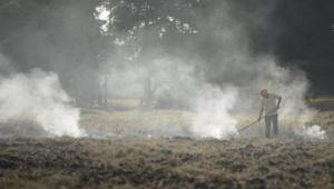 Farmers set agricultural stubble on fire in Punjab. Smoke from fields in Punjab and Haryana chokes Delhi every year.(Sanchit Khanna/HT PHOTO) Farmers set agricultural stubble on fire in Punjab. Smoke from fields in Punjab and Haryana chokes Delhi every year.(Sanchit Khanna/HT PHOTO)