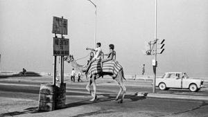 Camel at Marine Drive, Bombay 1977(© Sooni Taraporevala / Courtesy Sunaparanta) Camel at Marine Drive, Bombay 1977(© Sooni Taraporevala / Courtesy Sunaparanta)
