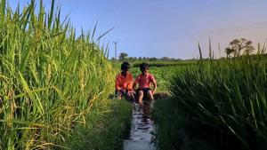A still from the movie Dharmik. A still from the movie Dharmik.