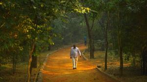 Sanjay Van in south Delhi is part of the south central ridge.(Sanchit Khanna/HT PHOTO) Sanjay Van in south Delhi is part of the south central ridge.(Sanchit Khanna/HT PHOTO)
