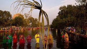 Sugarcane stalks planted into a water body as Hindu women perform rituals at sunset to mark Chhath Puja in New Delhi.(AP Photo) Sugarcane stalks planted into a water body as Hindu women perform rituals at sunset to mark Chhath Puja in New Delhi.(AP Photo)