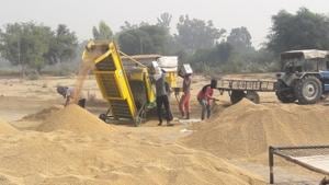 Labourers at work at the mandi in Makha Chehlan village in Mansa district.(HT Photo) Labourers at work at the mandi in Makha Chehlan village in Mansa district.(HT Photo)