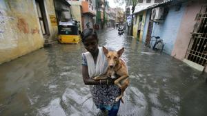 A woman carries a dog as she wades through a water-logged neighbourhood amid rain in Chennai.(REUTERS) A woman carries a dog as she wades through a water-logged neighbourhood amid rain in Chennai.(REUTERS)