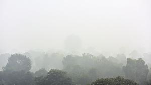 Smog engulfs India Gate on Friday morning.(Ravi Choudhary/HT PHOTO) Smog engulfs India Gate on Friday morning.(Ravi Choudhary/HT PHOTO)