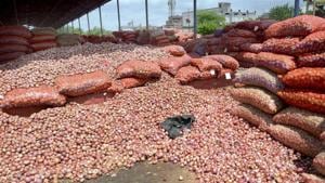 Onions will be washed and peeled by machines at the plant and then dehydrated onions will be turned into flakes, powder, or ground into a paste.(PTI/REPRESENTATIVE PIC) Onions will be washed and peeled by machines at the plant and then dehydrated onions will be turned into flakes, powder, or ground into a paste.(PTI/REPRESENTATIVE PIC)