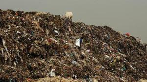 Focus would be on the portion running parallel to a canal on which a garbage mound fell on September 2, killing two people and prompting the Lieutenant Governor to shut the site for dumping waste.(HT Photo) Focus would be on the portion running parallel to a canal on which a garbage mound fell on September 2, killing two people and prompting the Lieutenant Governor to shut the site for dumping waste.(HT Photo)