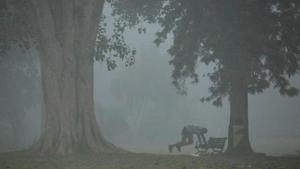A man exercises at a park on a morning in New Delhi.(REUTERS) A man exercises at a park on a morning in New Delhi.(REUTERS)